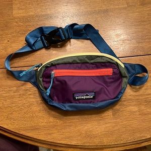 Patagonia Black Hole Hip Pack